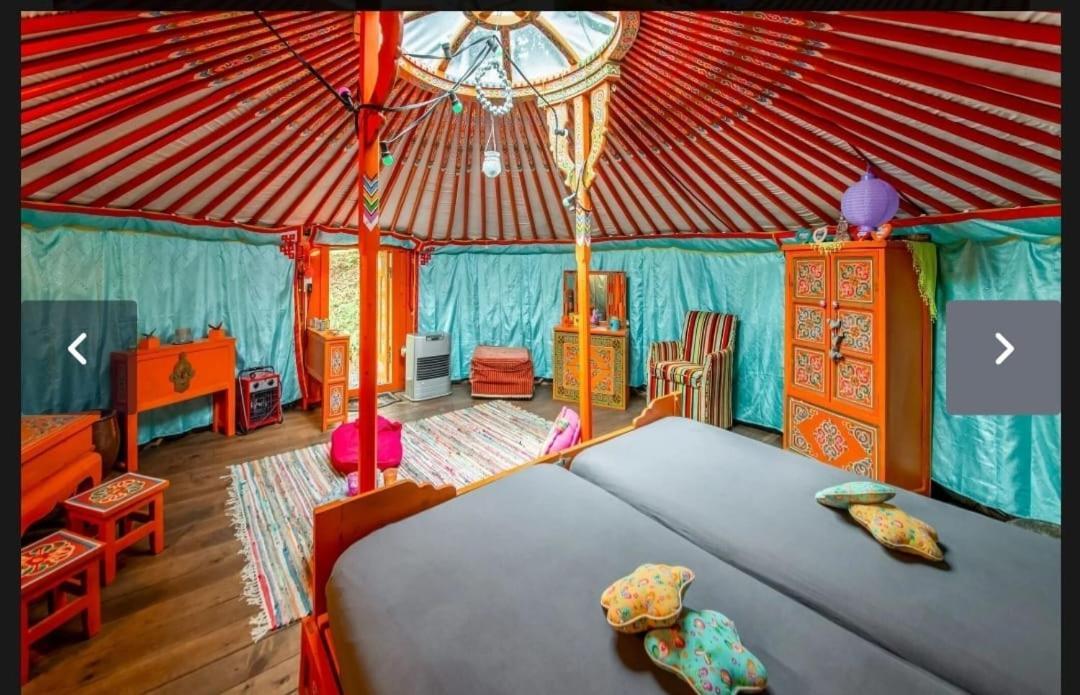 Yourte Mongole Et Cabane Houffalize Exterior foto